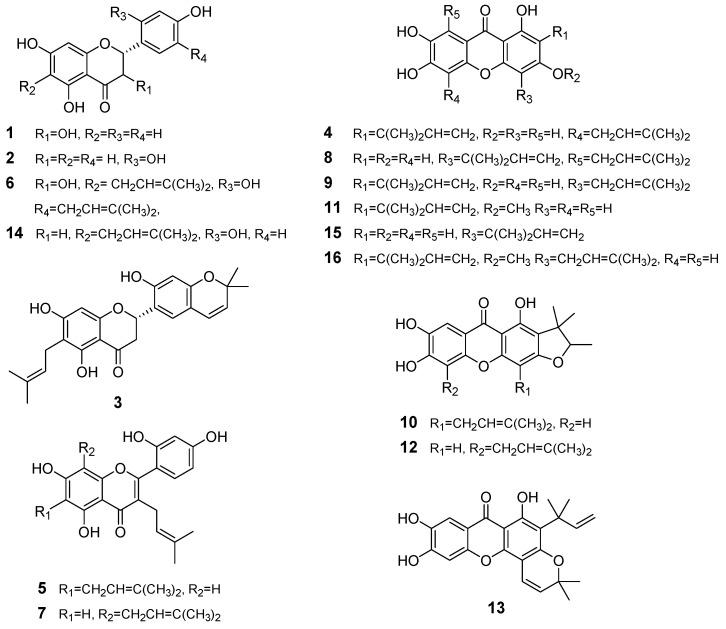 https://cdn.ncbi.nlm.nih.gov/pmc/blobs/de41/7402286/83a689706d09/ijms-21-04839-g001.jpg