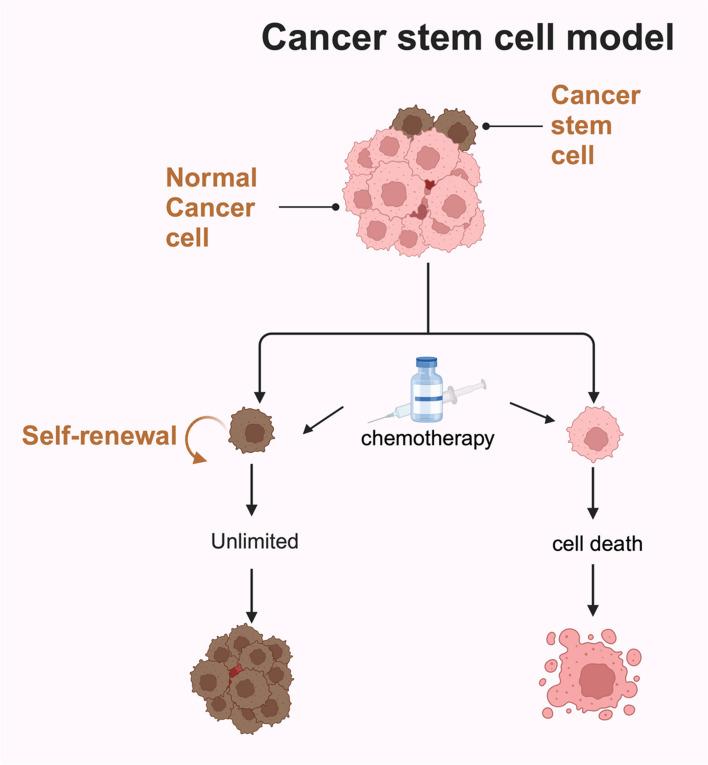 https://cdn.ncbi.nlm.nih.gov/pmc/blobs/de42/11700966/3ffe1da75195/43556_2024_239_Fig4_HTML.jpg