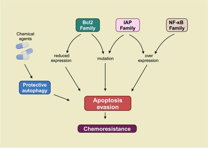 https://cdn.ncbi.nlm.nih.gov/pmc/blobs/de42/11700966/83d703b671c7/43556_2024_239_Fig2_HTML.jpg
