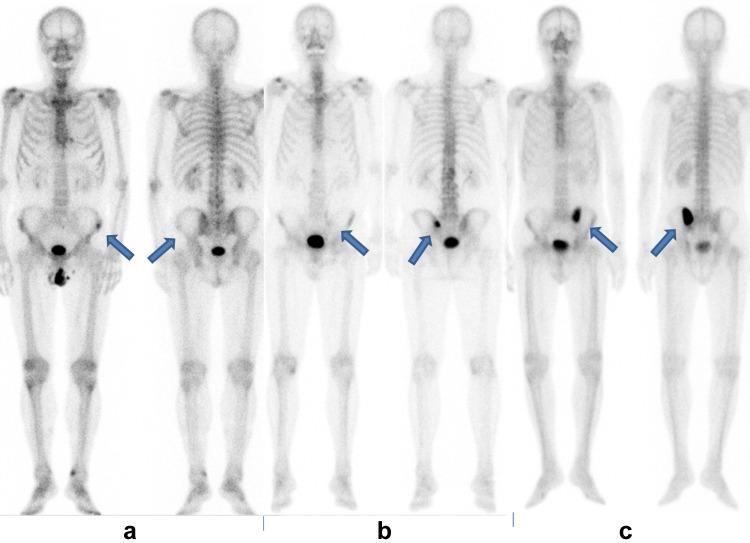 https://cdn.ncbi.nlm.nih.gov/pmc/blobs/de44/5517559/1073e457ee30/12149_2017_1175_Fig1_HTML.jpg