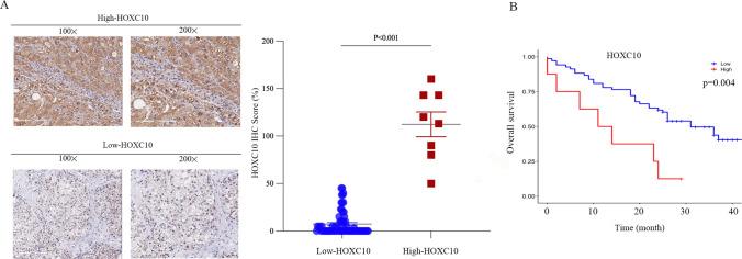 https://cdn.ncbi.nlm.nih.gov/pmc/blobs/de45/10514025/15a1866f995e/12672_2023_786_Fig1_HTML.jpg