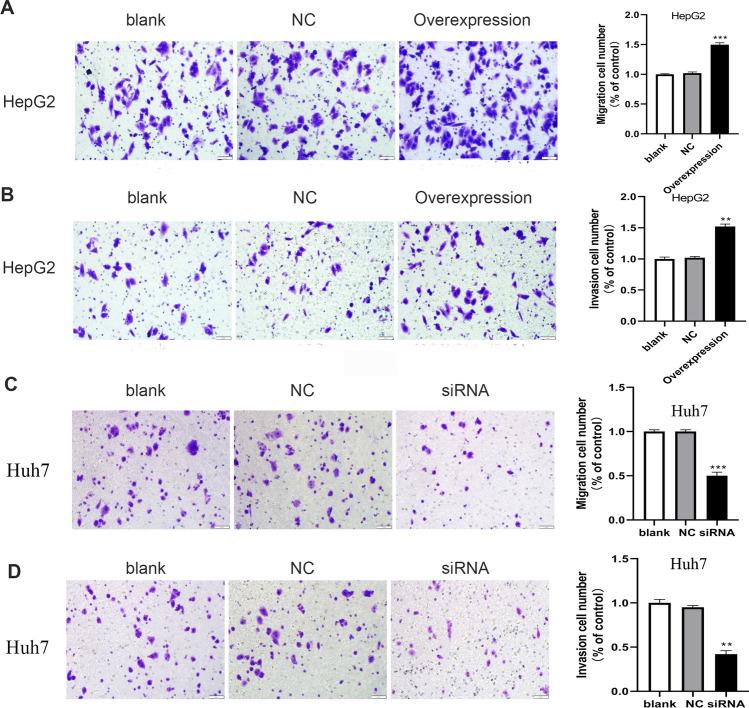 https://cdn.ncbi.nlm.nih.gov/pmc/blobs/de45/10514025/a38891f44c8c/12672_2023_786_Fig5_HTML.jpg