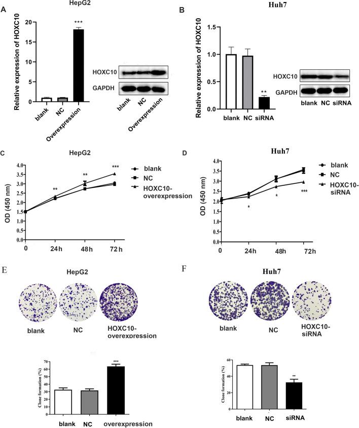 https://cdn.ncbi.nlm.nih.gov/pmc/blobs/de45/10514025/c323ce5699d6/12672_2023_786_Fig3_HTML.jpg