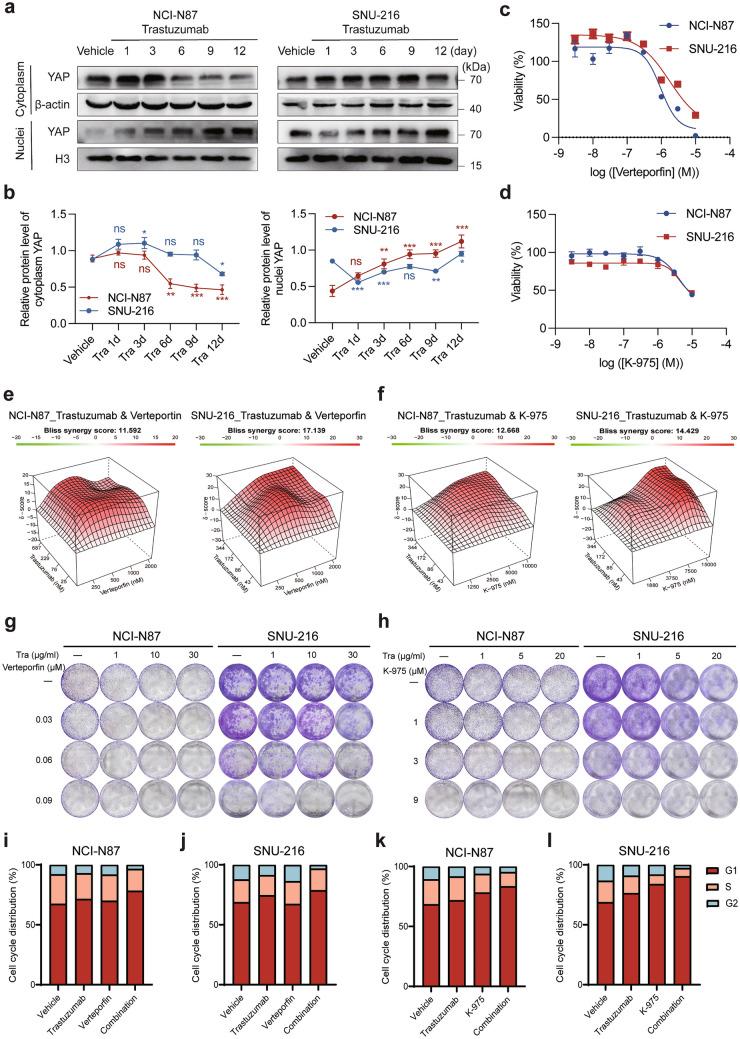 https://cdn.ncbi.nlm.nih.gov/pmc/blobs/de48/11193831/5a45c0c0e8d1/10120_2024_1508_Fig2_HTML.jpg