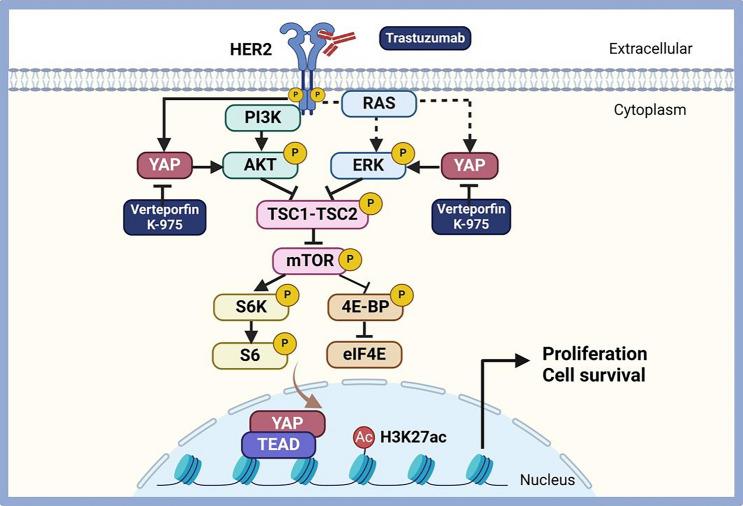 https://cdn.ncbi.nlm.nih.gov/pmc/blobs/de48/11193831/b25c33fa0fad/10120_2024_1508_Fig7_HTML.jpg