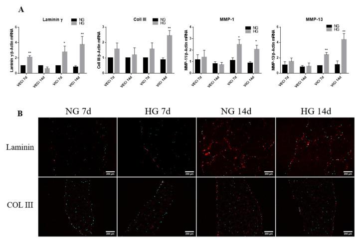 https://cdn.ncbi.nlm.nih.gov/pmc/blobs/de48/7760928/477562b23b5c/polymers-12-02786-g006.jpg