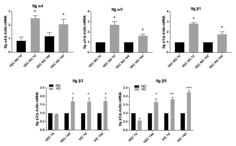 https://cdn.ncbi.nlm.nih.gov/pmc/blobs/de48/7760928/97c887cdedfc/polymers-12-02786-g005.jpg