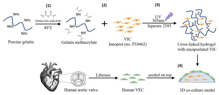 https://cdn.ncbi.nlm.nih.gov/pmc/blobs/de48/7760928/af85d26b1f85/polymers-12-02786-g001.jpg