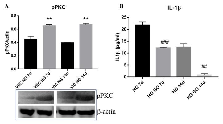 https://cdn.ncbi.nlm.nih.gov/pmc/blobs/de48/7760928/b014fe570850/polymers-12-02786-g007.jpg
