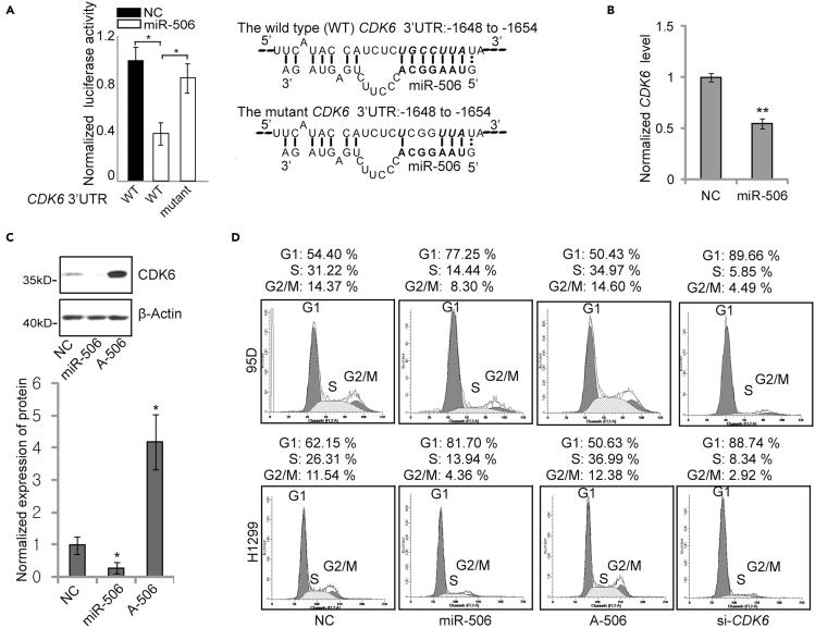https://cdn.ncbi.nlm.nih.gov/pmc/blobs/de48/8590077/b057206ad149/gr1.jpg