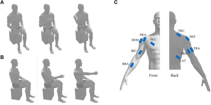 https://cdn.ncbi.nlm.nih.gov/pmc/blobs/de49/10518409/9bae705e94a4/fphys-14-1214995-g001.jpg