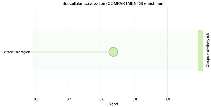 https://cdn.ncbi.nlm.nih.gov/pmc/blobs/de4b/12385176/3329e385fef9/diagnostics-15-02037-g005.jpg