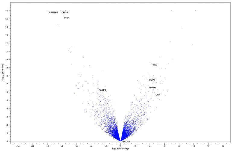 https://cdn.ncbi.nlm.nih.gov/pmc/blobs/de4b/12385176/61132cbfe808/diagnostics-15-02037-g002.jpg