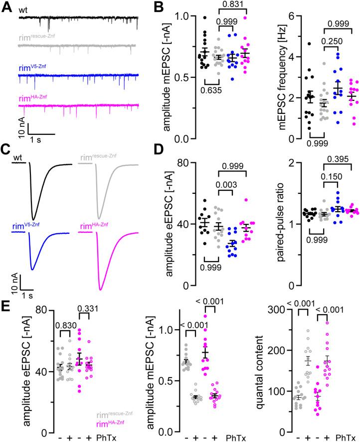 https://cdn.ncbi.nlm.nih.gov/pmc/blobs/de4d/10494931/24fbdf338d92/LSA-2023-02021_Fig2.jpg