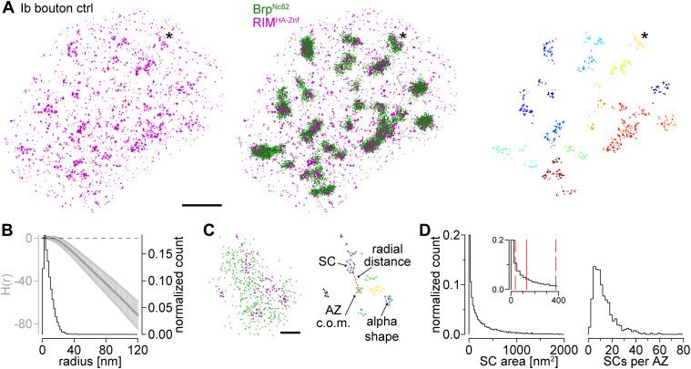 https://cdn.ncbi.nlm.nih.gov/pmc/blobs/de4d/10494931/5be15f81f1d5/LSA-2023-02021_Fig4.jpg
