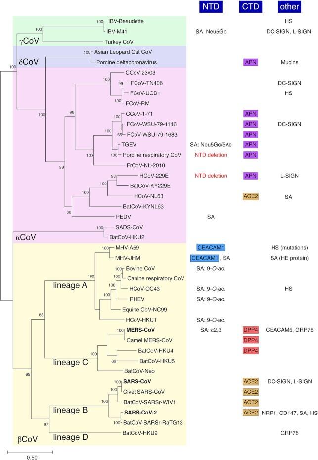 https://cdn.ncbi.nlm.nih.gov/pmc/blobs/de4d/8100004/9ac248f97f5f/fuaa057fig2.jpg