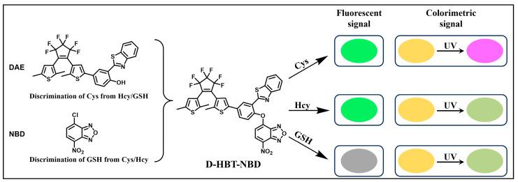https://cdn.ncbi.nlm.nih.gov/pmc/blobs/de4e/11173890/16da83792d4f/molecules-29-02521-g016.jpg