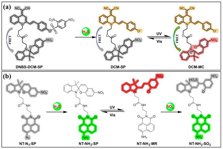 https://cdn.ncbi.nlm.nih.gov/pmc/blobs/de4e/11173890/17a9b64f91c9/molecules-29-02521-g014.jpg