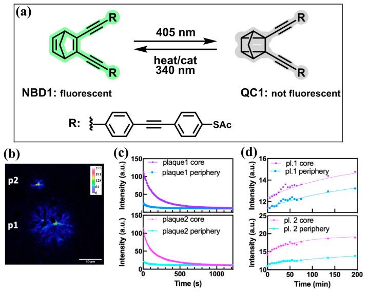 https://cdn.ncbi.nlm.nih.gov/pmc/blobs/de4e/11173890/5a6ef8c51b0d/molecules-29-02521-g020.jpg