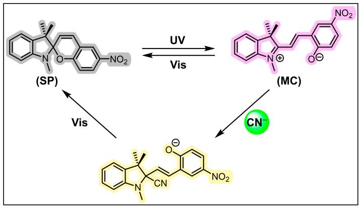 https://cdn.ncbi.nlm.nih.gov/pmc/blobs/de4e/11173890/badc62580257/molecules-29-02521-g011.jpg