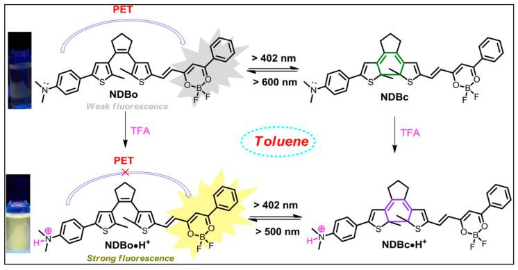 https://cdn.ncbi.nlm.nih.gov/pmc/blobs/de4e/11173890/c3ad489dcb19/molecules-29-02521-g001.jpg