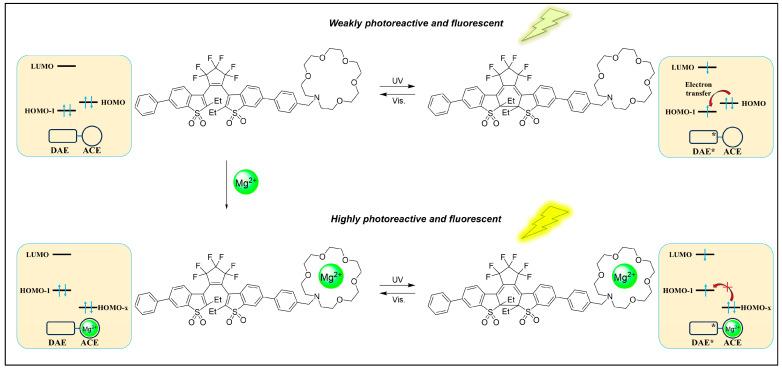 https://cdn.ncbi.nlm.nih.gov/pmc/blobs/de4e/11173890/d9d2e851c0ac/molecules-29-02521-g003.jpg