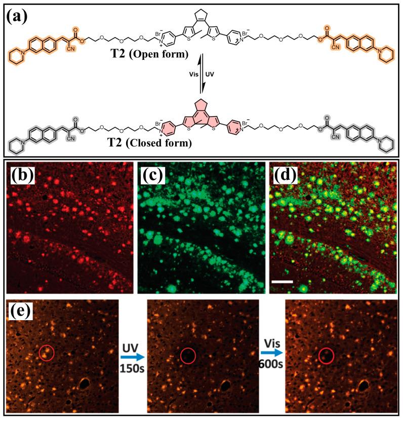 https://cdn.ncbi.nlm.nih.gov/pmc/blobs/de4e/11173890/f1731e6706e9/molecules-29-02521-g019.jpg