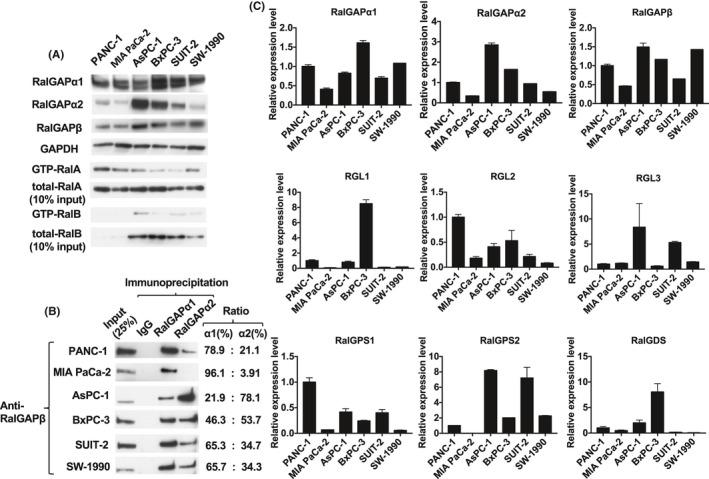 https://cdn.ncbi.nlm.nih.gov/pmc/blobs/de4e/8353909/68495c65a201/CAS-112-3064-g008.jpg