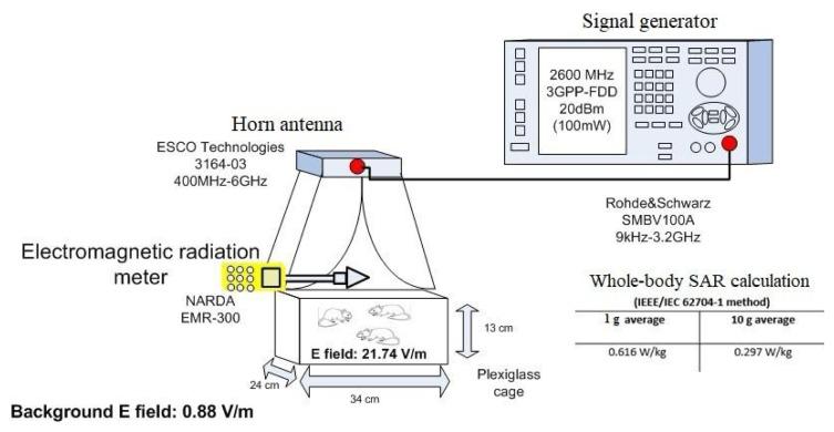 https://cdn.ncbi.nlm.nih.gov/pmc/blobs/de4f/11407361/412924f7ae94/tjmed-54-04-858f1.jpg
