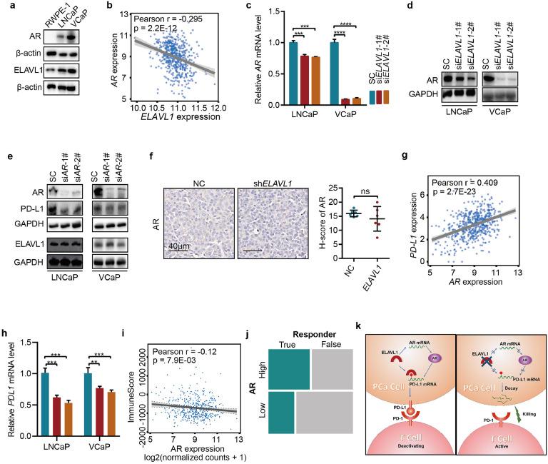 https://cdn.ncbi.nlm.nih.gov/pmc/blobs/de4f/11416606/5153f4a627a8/gr6.jpg