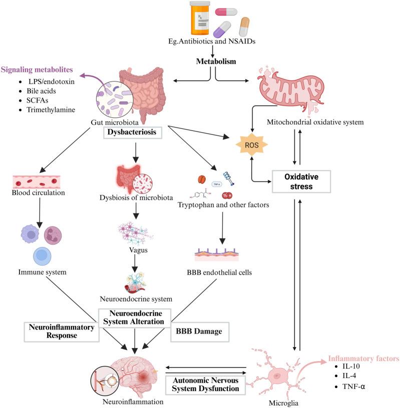 https://cdn.ncbi.nlm.nih.gov/pmc/blobs/de4f/12395749/9126ffd318d5/fcell-13-1604539-g002.jpg