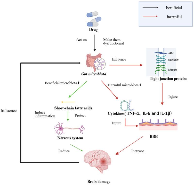 https://cdn.ncbi.nlm.nih.gov/pmc/blobs/de4f/12395749/f558759507b7/fcell-13-1604539-g001.jpg