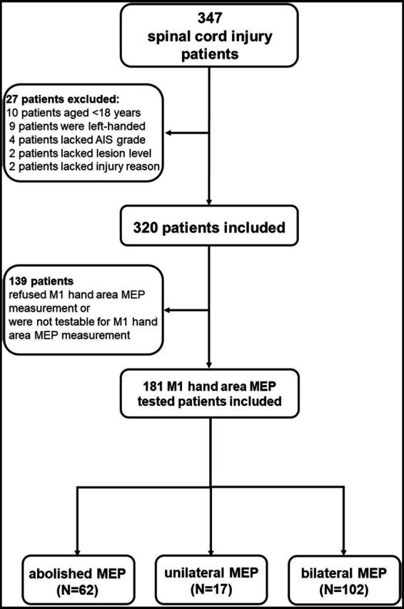 https://cdn.ncbi.nlm.nih.gov/pmc/blobs/de50/10273270/73c64aa9c623/fneur-14-1175078-g001.jpg