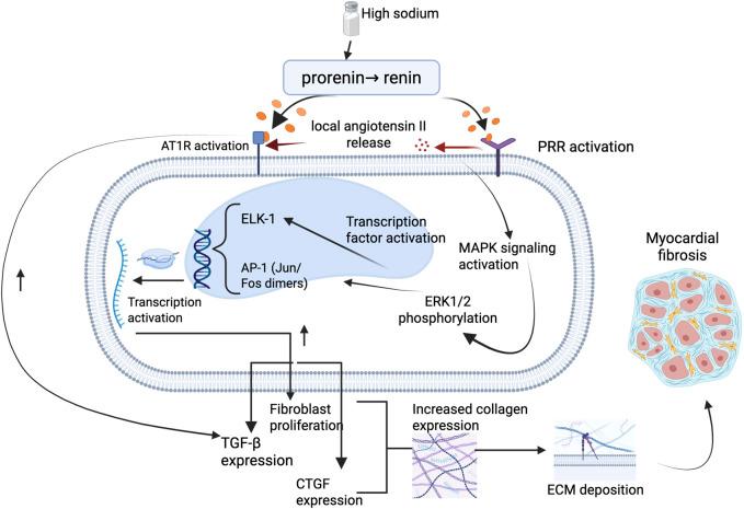 https://cdn.ncbi.nlm.nih.gov/pmc/blobs/de50/12202478/1758502fc355/fphar-16-1626492-g001.jpg