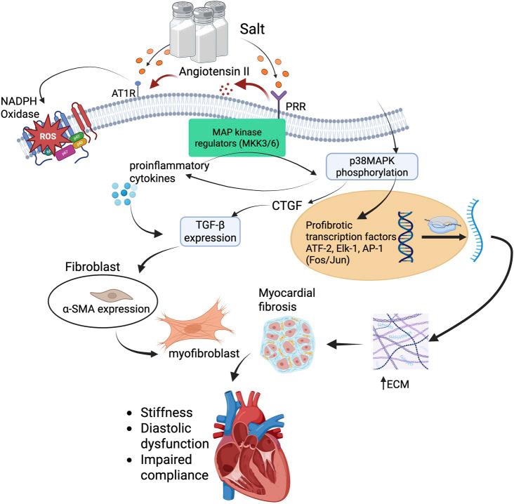 https://cdn.ncbi.nlm.nih.gov/pmc/blobs/de50/12202478/a92c747f7370/fphar-16-1626492-g003.jpg