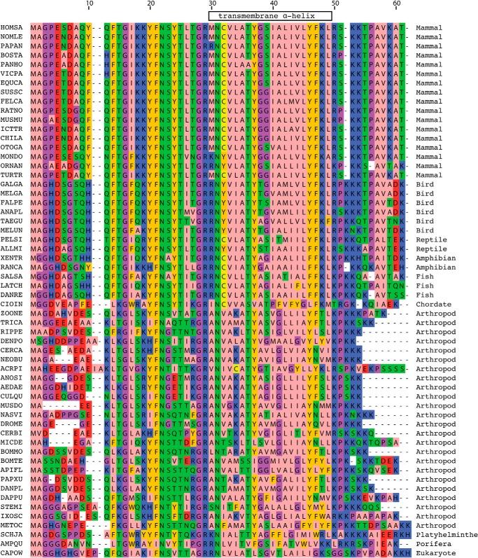 https://cdn.ncbi.nlm.nih.gov/pmc/blobs/de51/4505582/62c2fd1ce5f5/zbc0261517110006.jpg