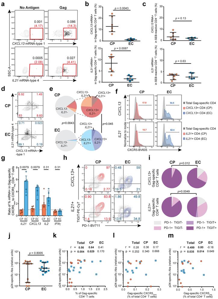 https://cdn.ncbi.nlm.nih.gov/pmc/blobs/de52/6642691/6bb608d18547/nihms-1528611-f0004.jpg