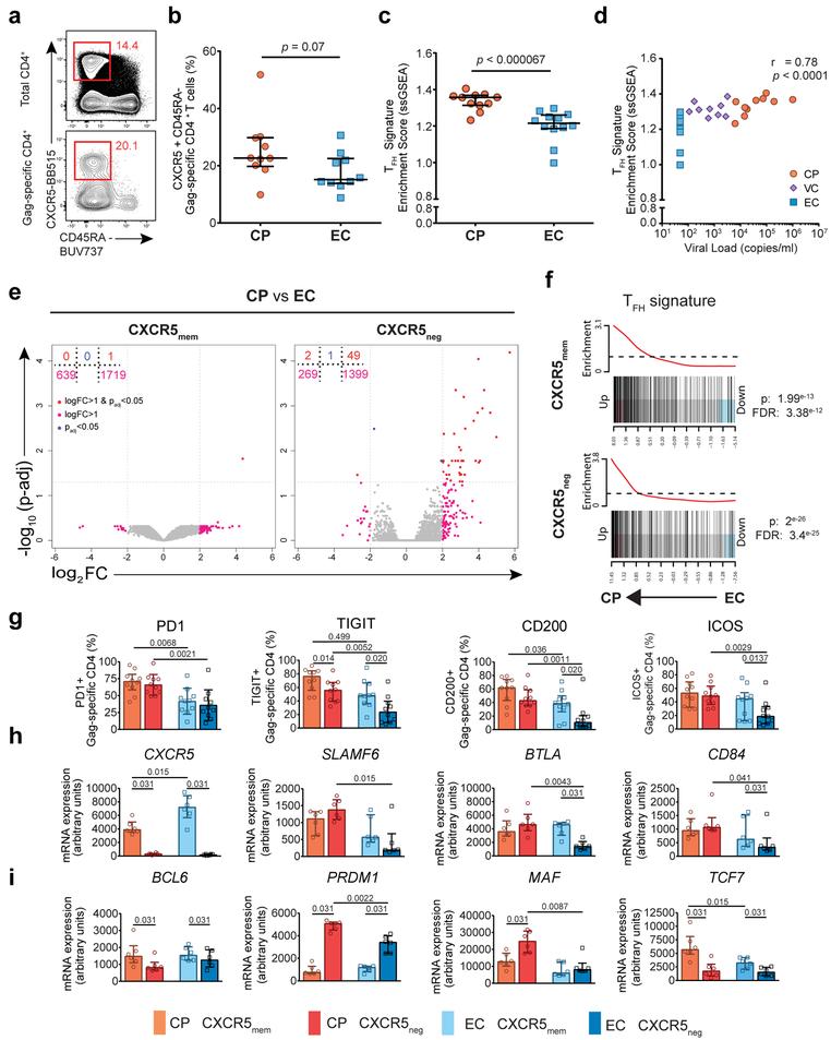 https://cdn.ncbi.nlm.nih.gov/pmc/blobs/de52/6642691/87277b19c305/nihms-1528611-f0003.jpg