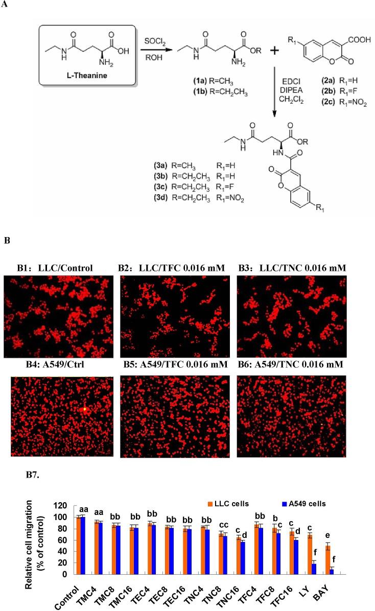 https://cdn.ncbi.nlm.nih.gov/pmc/blobs/de54/4226702/00d698135533/oncotarget-05-8528-g001.jpg