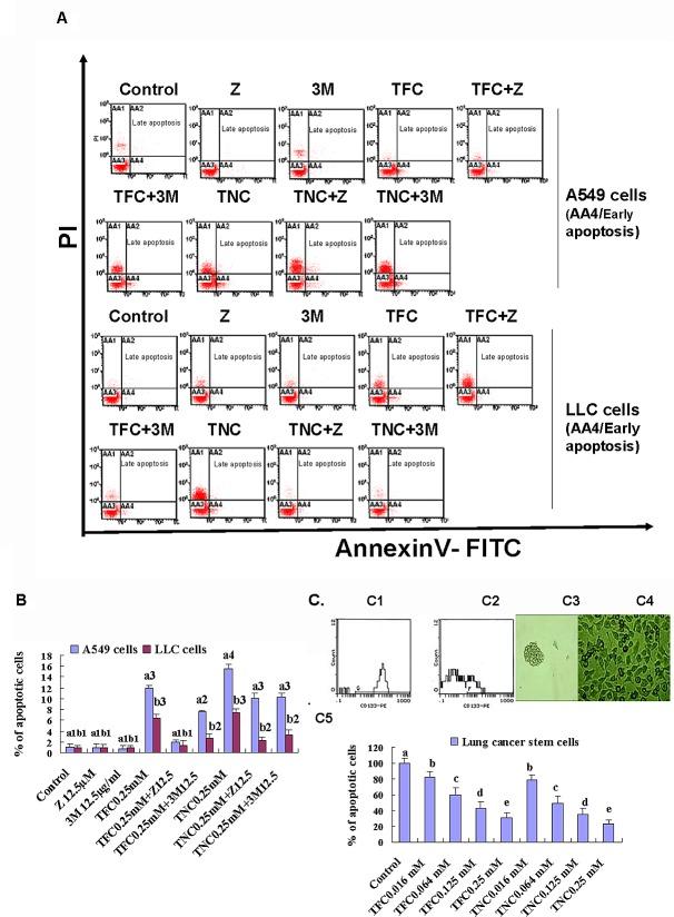 https://cdn.ncbi.nlm.nih.gov/pmc/blobs/de54/4226702/21b9c909d451/oncotarget-05-8528-g003.jpg