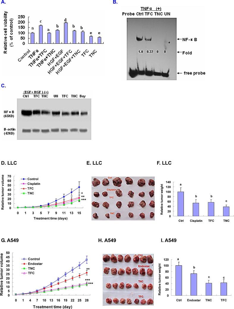 https://cdn.ncbi.nlm.nih.gov/pmc/blobs/de54/4226702/b8fdee6c65d6/oncotarget-05-8528-g006.jpg