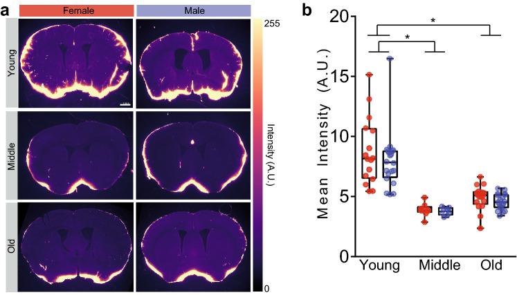 https://cdn.ncbi.nlm.nih.gov/pmc/blobs/de54/7528110/d566726a58db/41598_2020_72621_Fig3_HTML.jpg