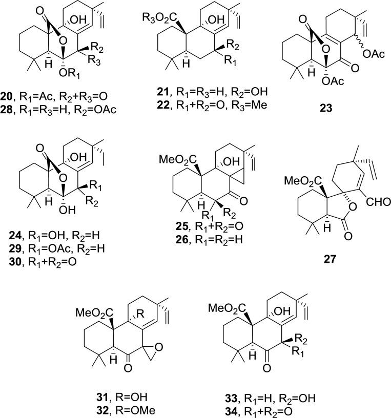 https://cdn.ncbi.nlm.nih.gov/pmc/blobs/de54/9292566/d3379e702f7c/CBIC-22-3263-g003.jpg