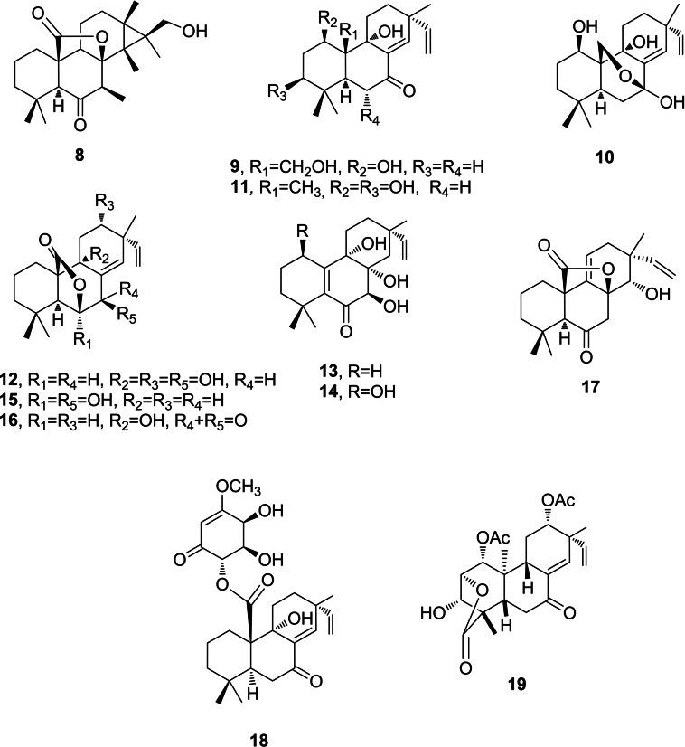 https://cdn.ncbi.nlm.nih.gov/pmc/blobs/de54/9292566/da58bfc236d4/CBIC-22-3263-g001.jpg