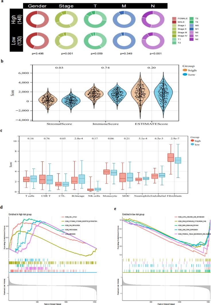 https://cdn.ncbi.nlm.nih.gov/pmc/blobs/de55/11920479/9c5929285d6f/12672_2025_2123_Fig7_HTML.jpg
