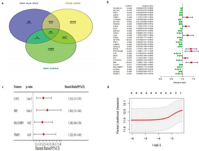 https://cdn.ncbi.nlm.nih.gov/pmc/blobs/de55/11920479/e4dfe303ead3/12672_2025_2123_Fig3_HTML.jpg