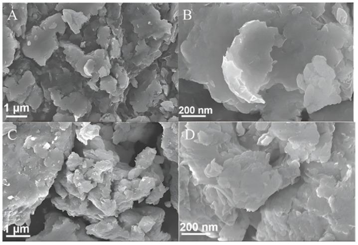 https://cdn.ncbi.nlm.nih.gov/pmc/blobs/de56/11173520/2f424346a805/molecules-29-02571-g004.jpg