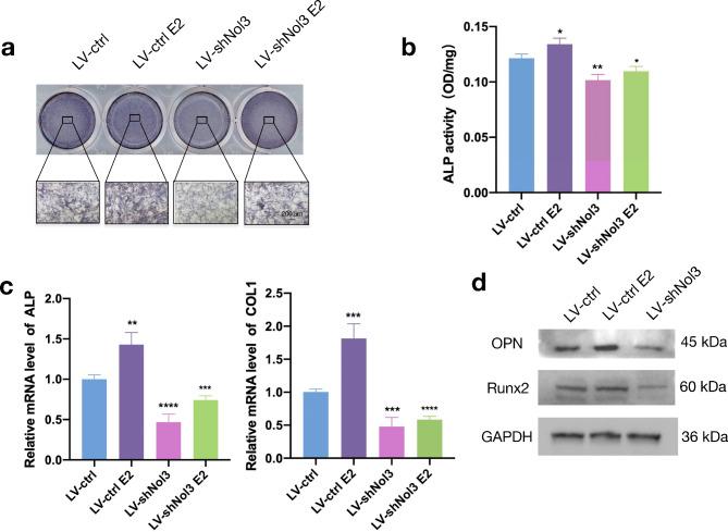 https://cdn.ncbi.nlm.nih.gov/pmc/blobs/de57/11724534/2a503649436d/13018_2024_5400_Fig2_HTML.jpg