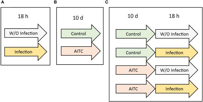 https://cdn.ncbi.nlm.nih.gov/pmc/blobs/de58/11128604/2c648e2483cf/fimmu-15-1404086-g002.jpg