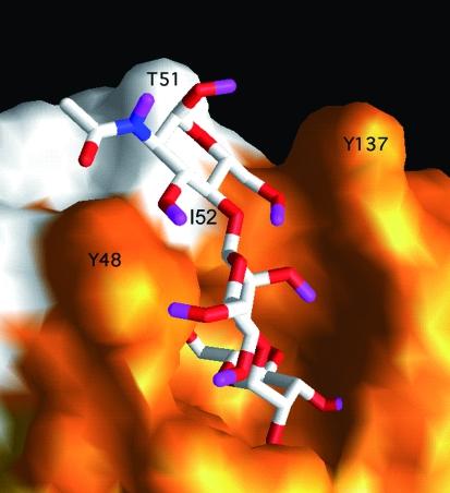 https://cdn.ncbi.nlm.nih.gov/pmc/blobs/de59/1618777/3fbdc01cf6c9/mmi0061-1556-f5.jpg